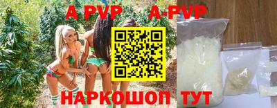 таблы Кингисепп