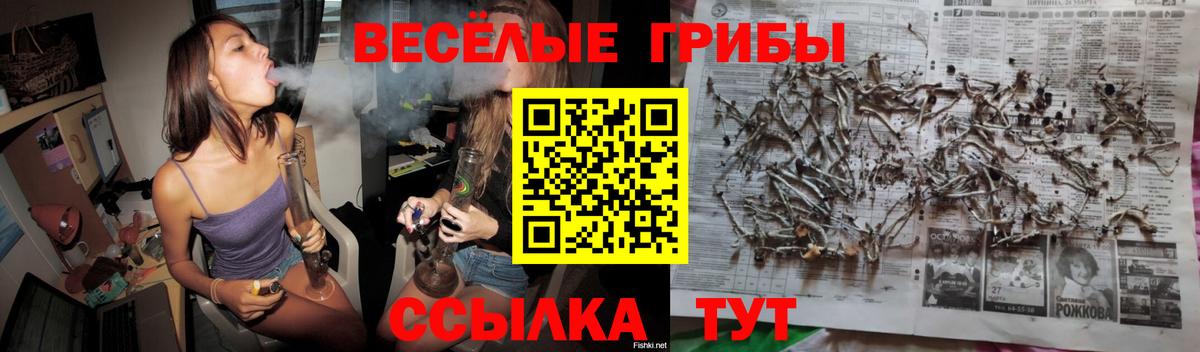 Красноярск  Псилоцибиновые грибы Cubensis  Вход с VPN  Псилоцибиновые грибы MAGIC MUSHROOMS 